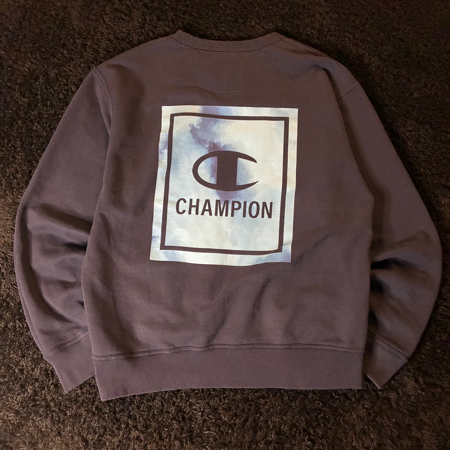 Champion Crewneck (L)