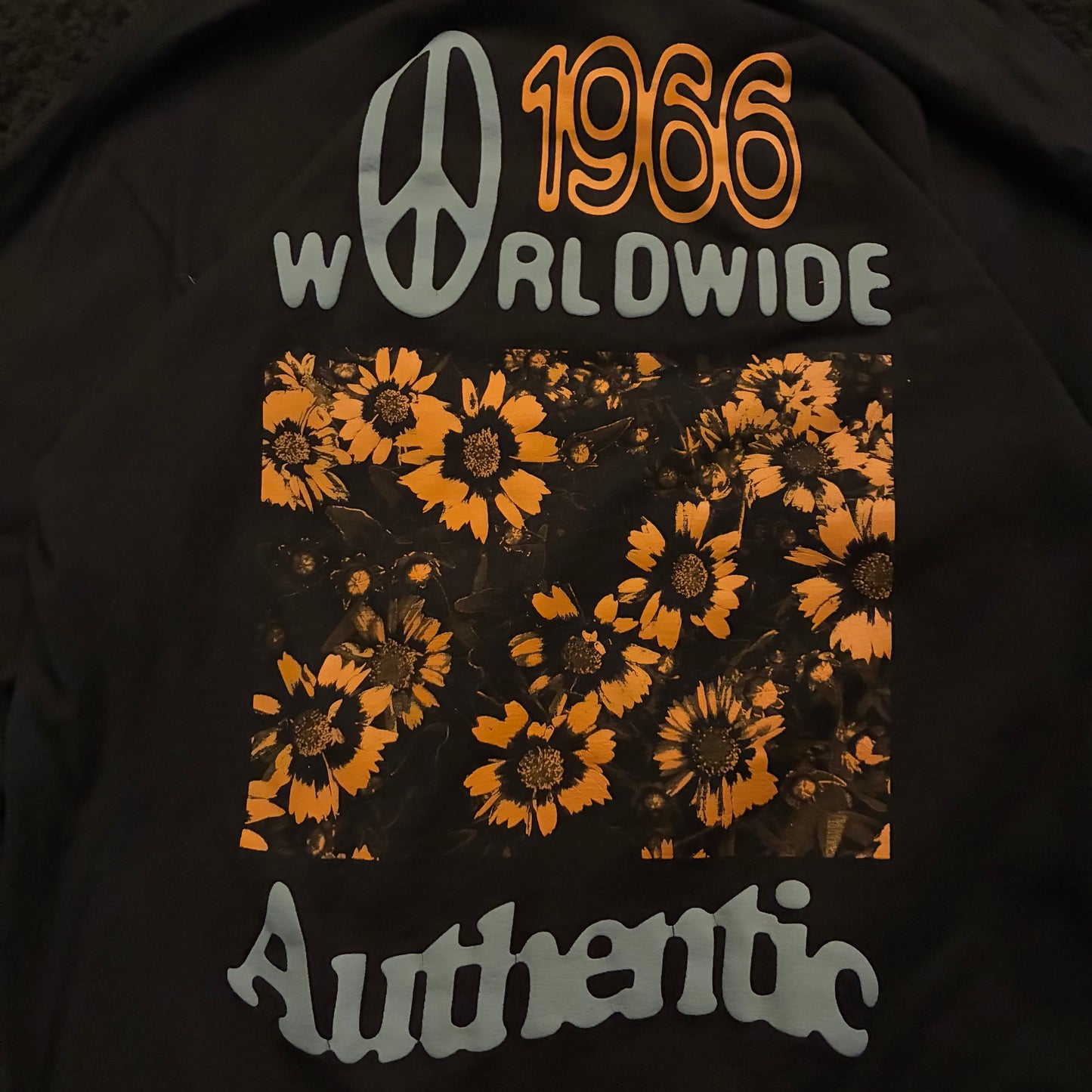 Vans OTW Graphic Long Sleeve (M)
