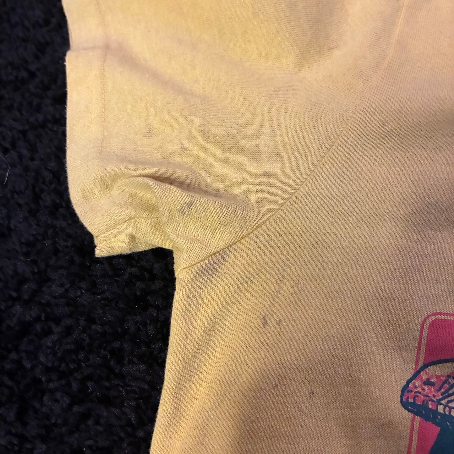 Jurassic Park Graphic Tee (M)