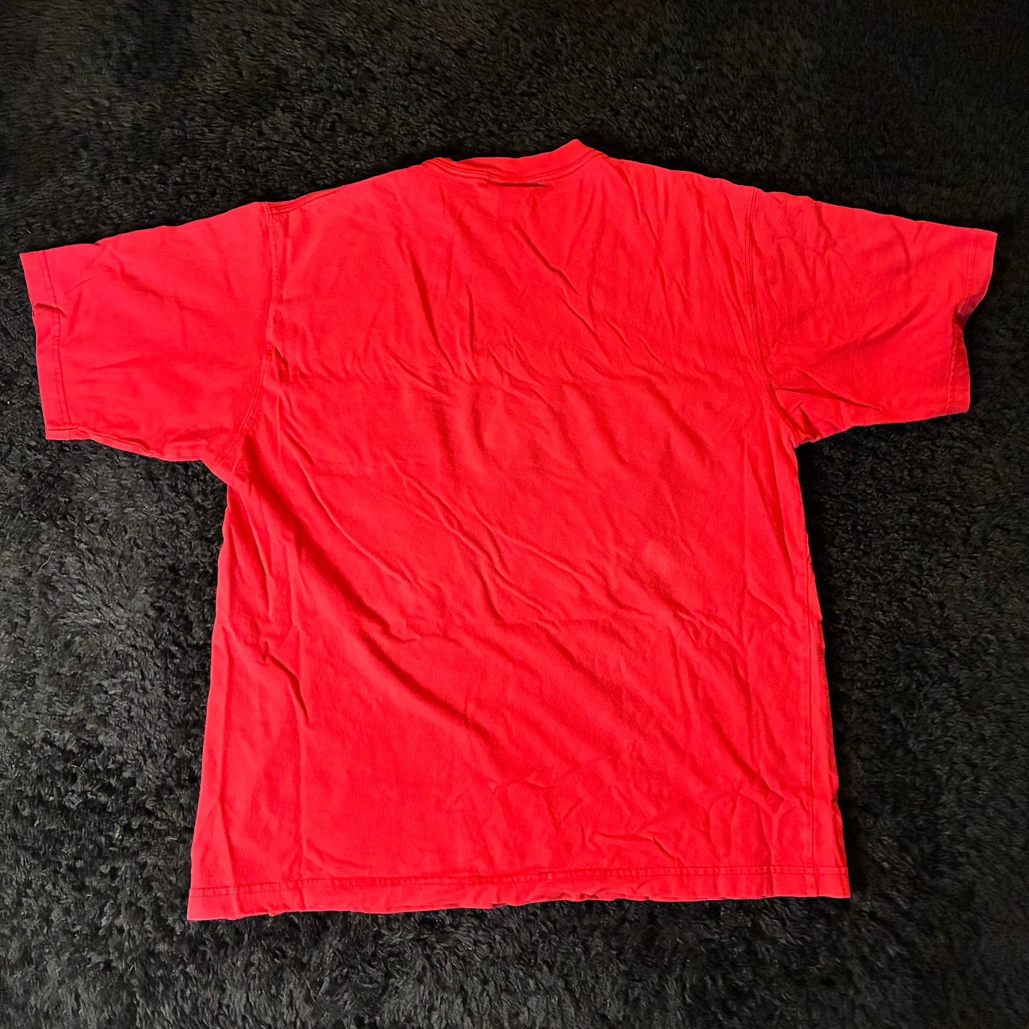 USA GANT Utility Tee (L)