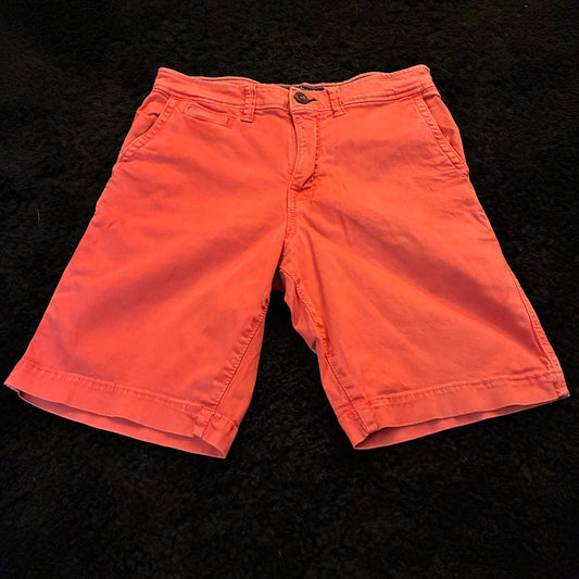American Eagle Chino Shorts (30w)