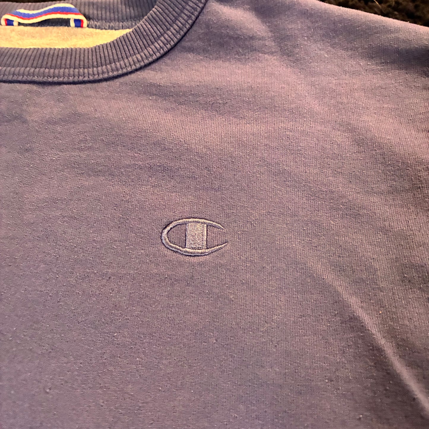 Champion Crewneck (M)