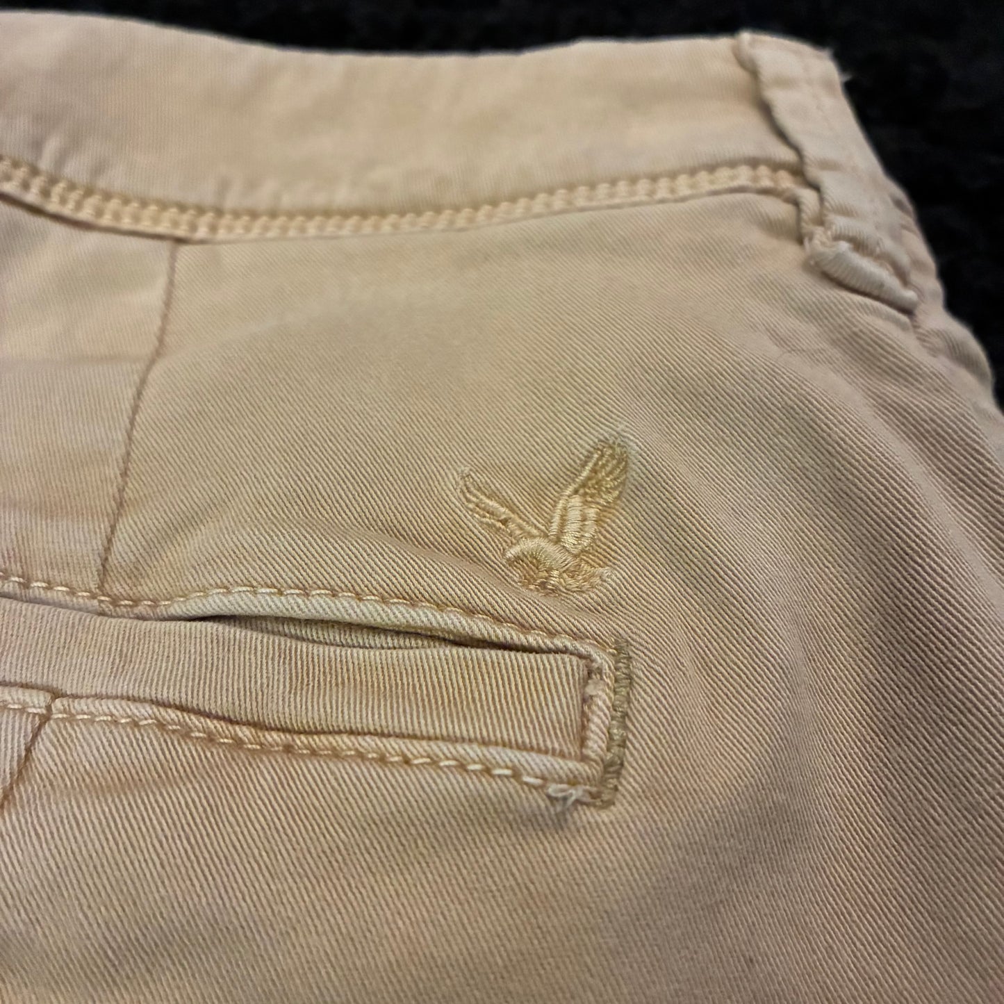 American Eagle Chino Pants (29x32)