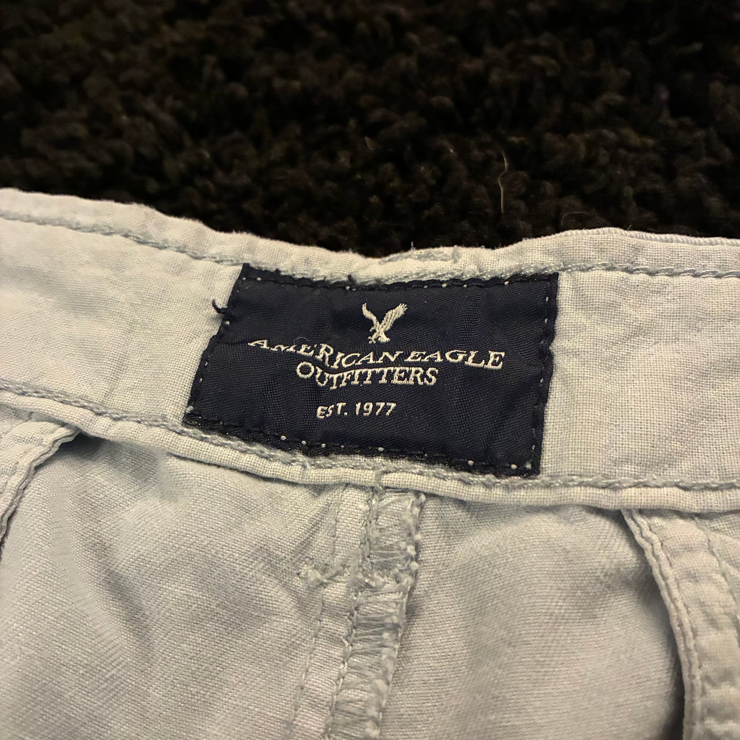 American Eagle Chino Shorts (34w)