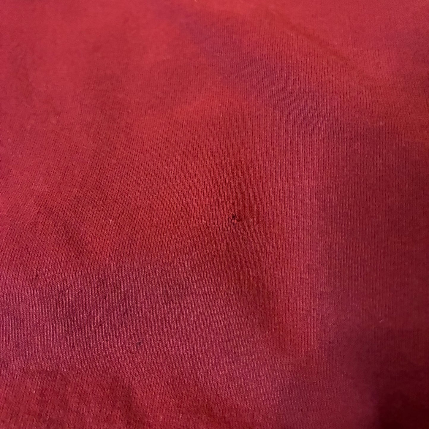 Champion Hoodie (XL)