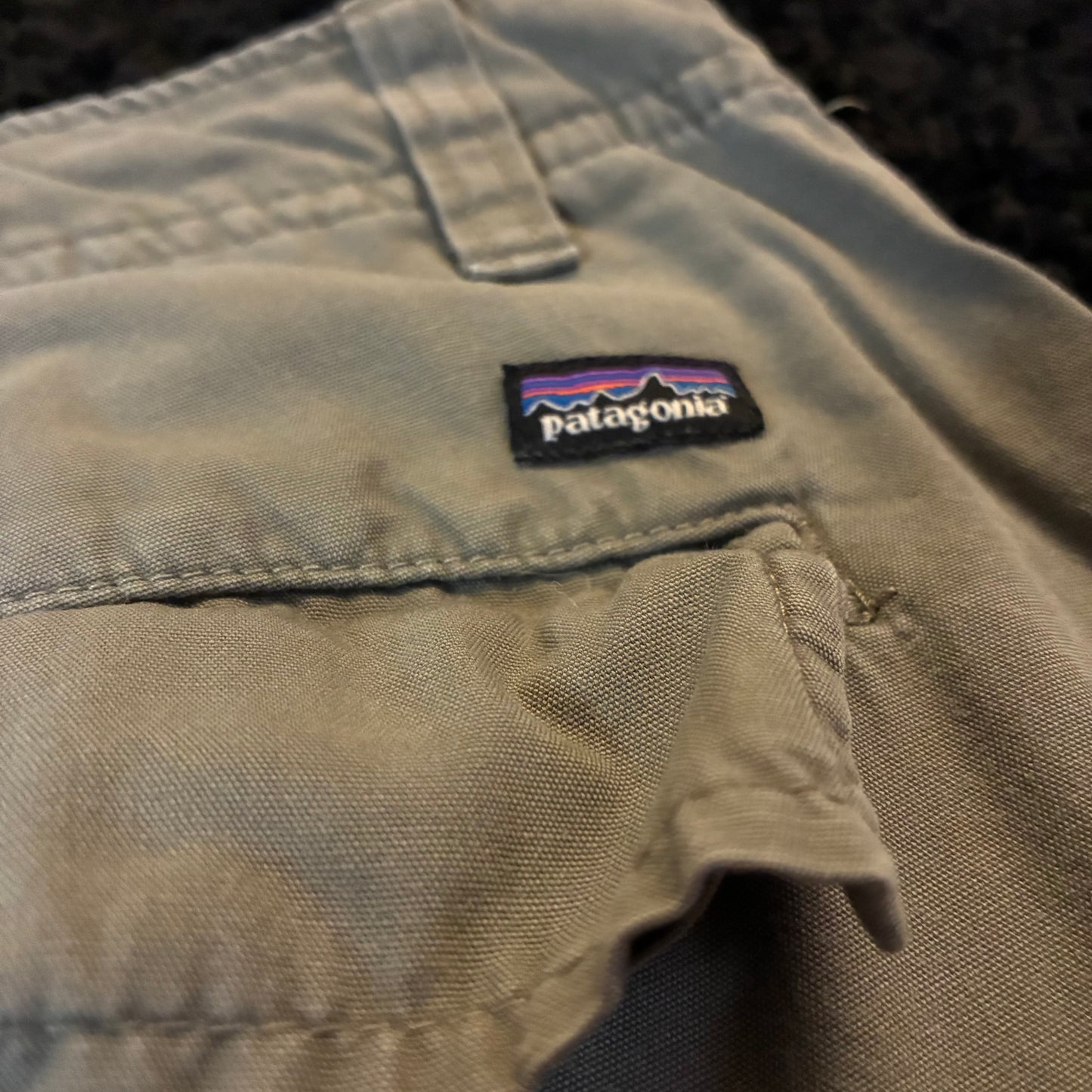 Patagonia Cargo Shorts (40w)