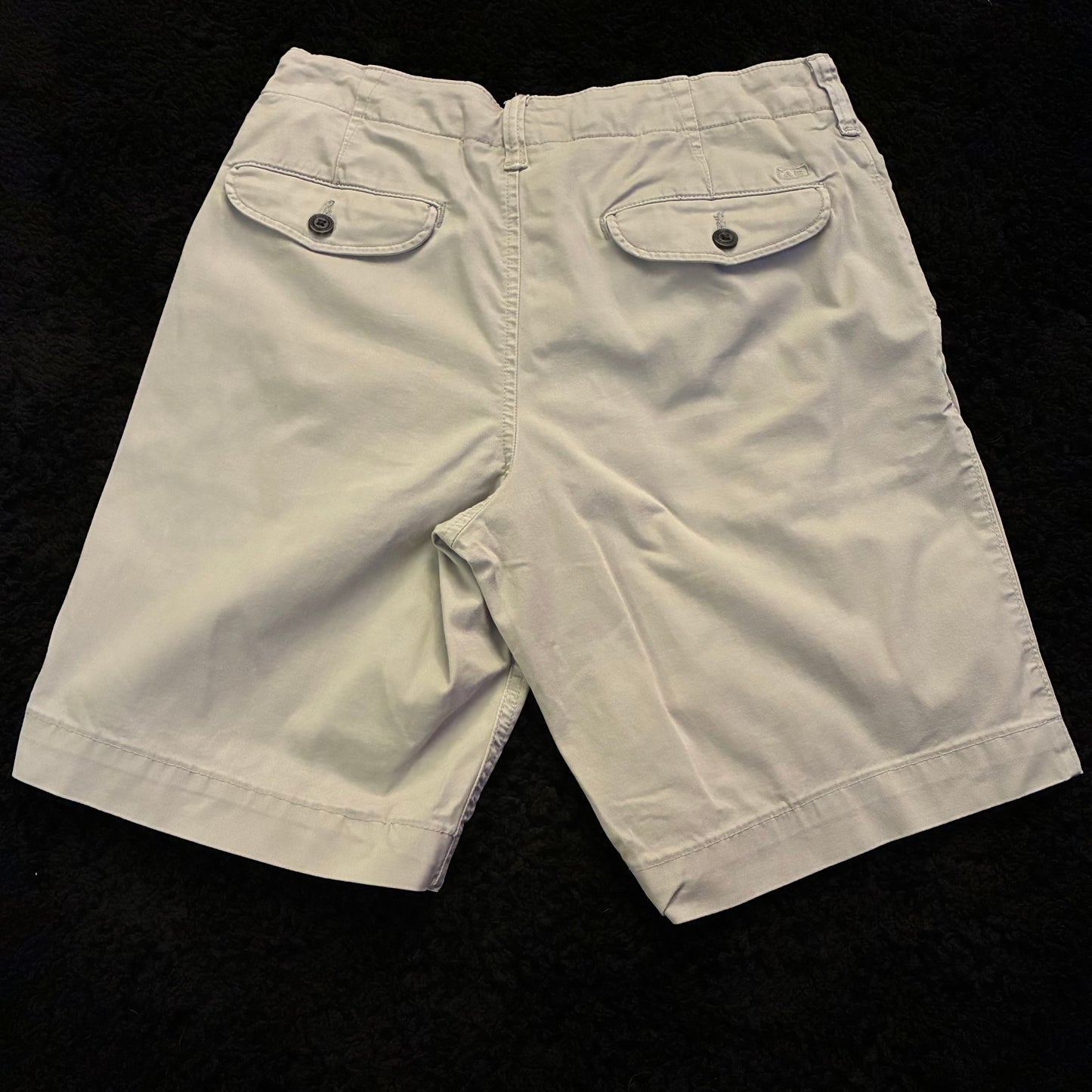 American Eagle Chino Shorts (29w)
